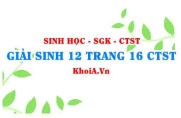 Giải Sinh 12 trang 16 Chân trời Sáng tạo